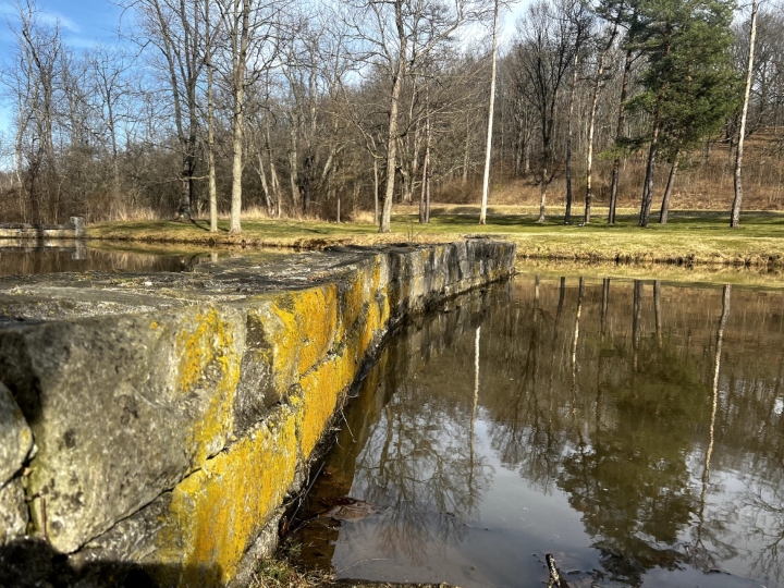 Herp Habitat